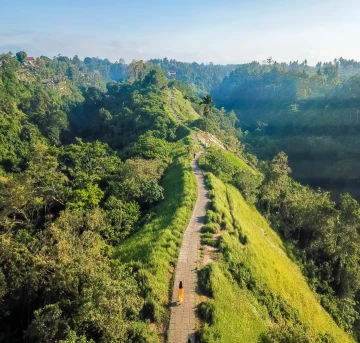 Campuhan Ridge Walk